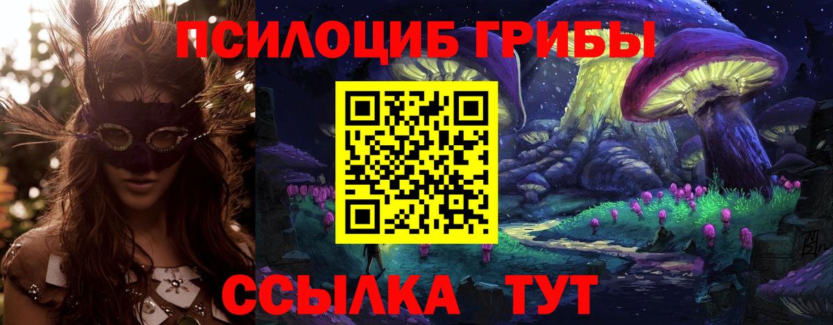 Галлюциногенные грибы Psilocybe Улан-Удэ